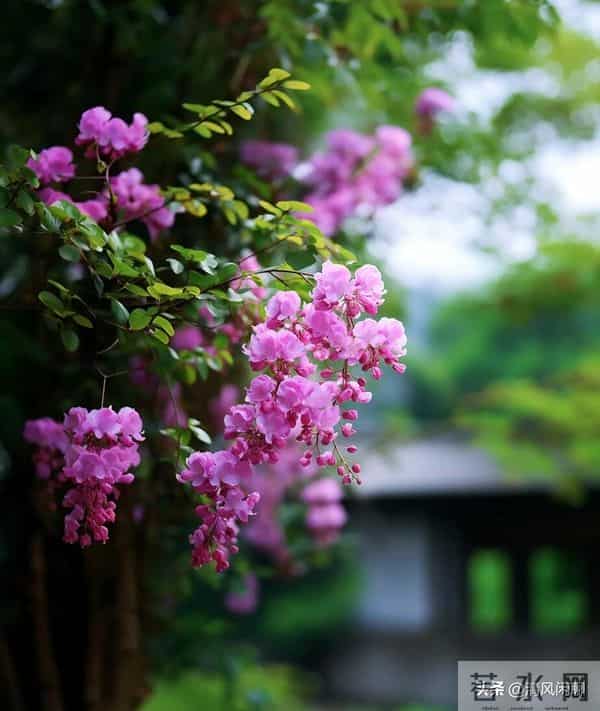 男人勾引女人,有这三个“胆”,一辈子不缺女人!