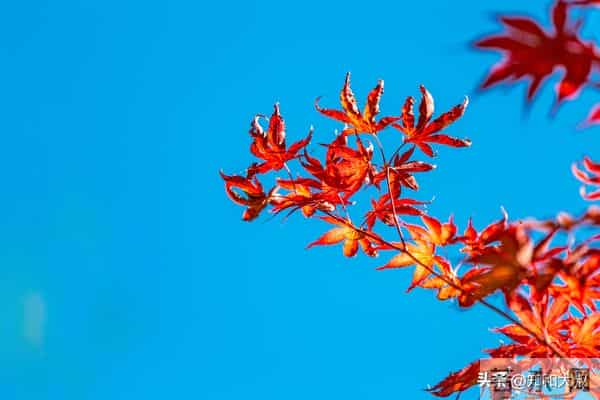 一个女人，越喜欢做这3件事，越说明她见过世面、不简单