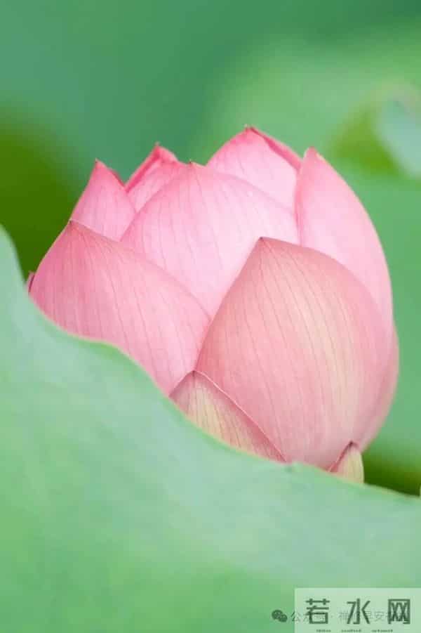 努力的人，转错的弯，走错的路，都会成为独一无二的风景。