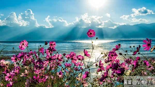 惊人揭秘：男人最爱女人的三大特质，性竟排不上号！