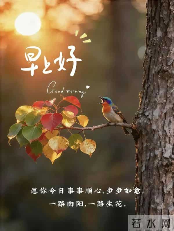 十二月第一天你好愿冬雪藏温柔，岁月赠安暖愿你梦之所及洒满欢笑