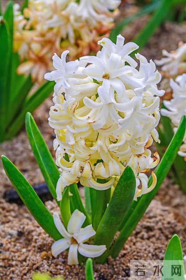 男人嫌弃你了，是有征兆的