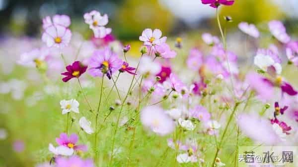 夫妻生活里，男人这些“坏动作”，比甜言蜜语更让女人心动