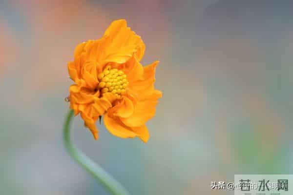 一句话让你一生不生气，做到了，你就是人生赢家！