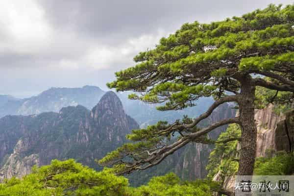 你别不信，大部分公公，都会趁儿子不在家的时候跟儿媳妇保持距离