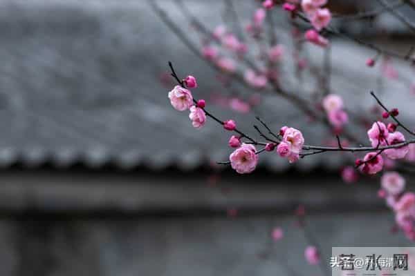 女人别冲动离婚：家在人在，别让一时意气毁了半生安稳