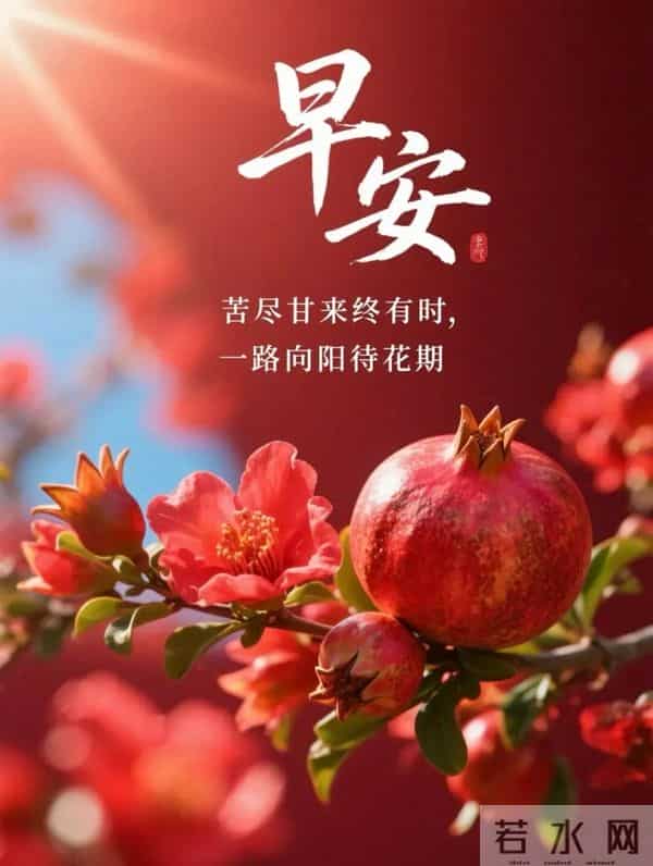 早安快乐！不问几时许，忙里寻闲适，烦忧全赶跑，顺遂无纷扰！