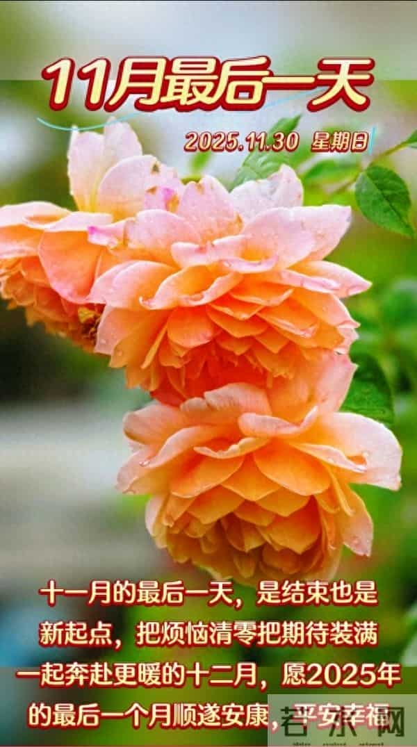 2025年十一月再见十二月你好 迎接十二月祝福语 十二月你好精美图片