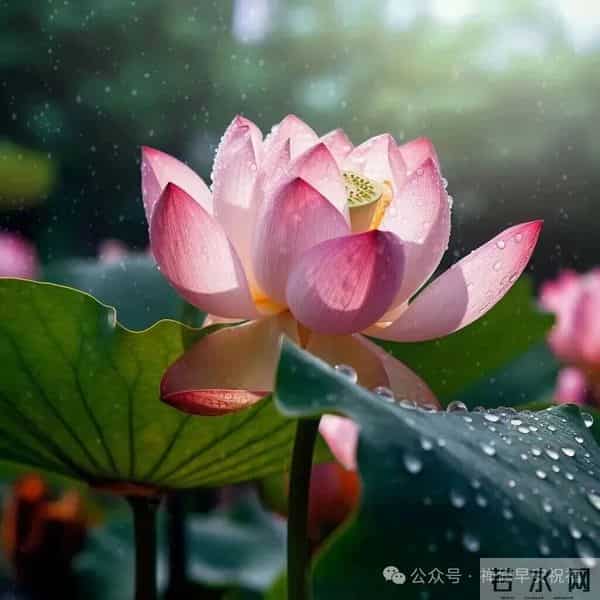 努力的人，转错的弯，走错的路，都会成为独一无二的风景。