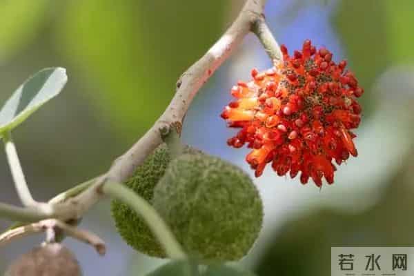 两性关系：为什么女人过了70岁还要找男人？70岁女人的大实话