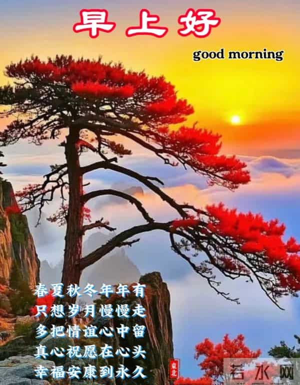 2025年12月1日早上好 早安周一愉快 早安温馨精美美图祝福语 早上好