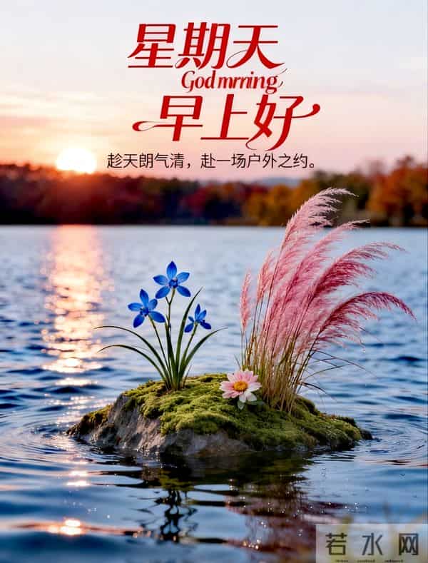 2025年11月30日周日早上好祝福语图片，最新温馨淡雅早安精美图片