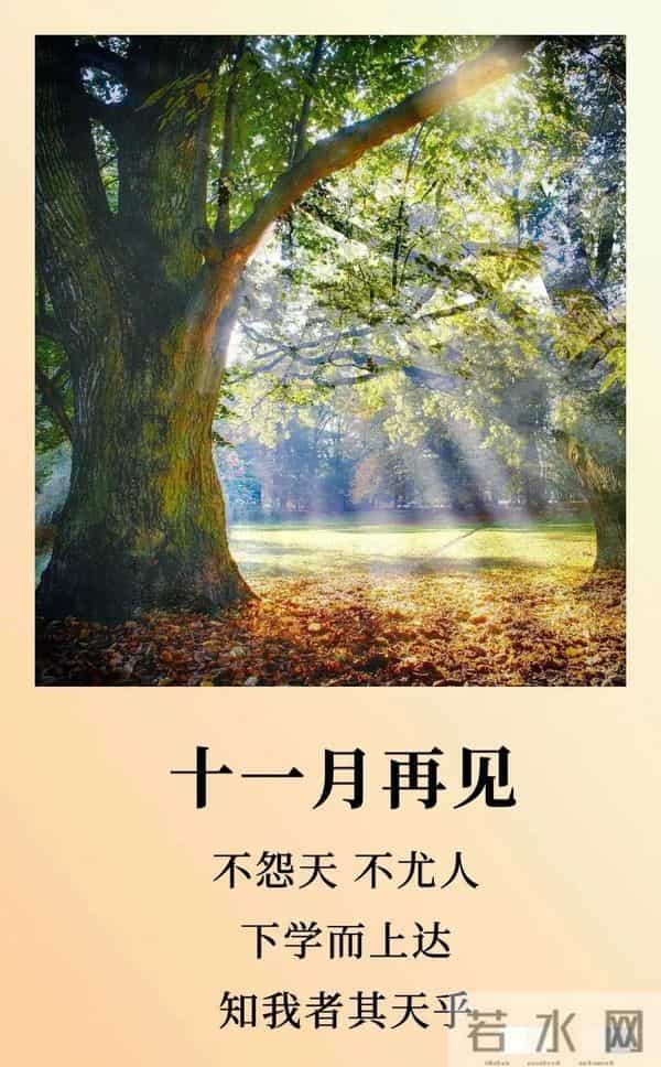 2025年12月1日早上好 ！早安精美图片 ， 周一快乐 早安吉祥！