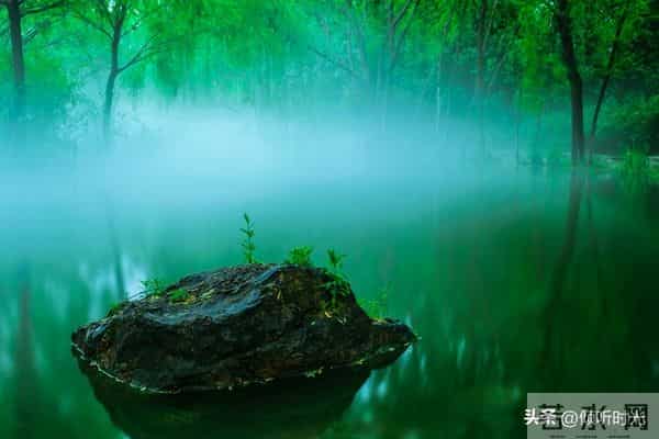 从明天起，万事皆成，对自己说：好运开启，万事顺意