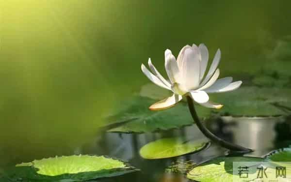 养生专家力荐：正念不是禅修！活在当下，内耗秒消！