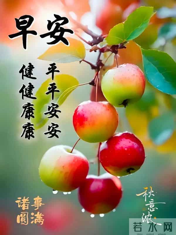 11月30日周日早安 早上好图片最新今天 温馨淡雅的周日早安美图