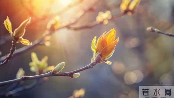 越厉害的人越低调？这4个细节，藏着你望尘莫及的认知高度