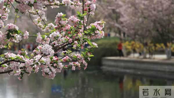 男人有7200退休金，跟搭伙女人AA养老，女人去打工男人却问谁做饭