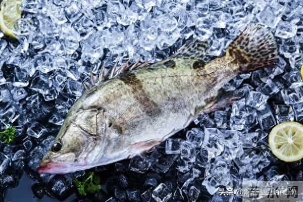 我的保姆生涯（404）我猜想新小姐家原来的阿姨，还是那个陈阿姨