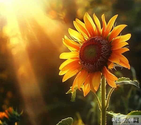 亲人离世后，你究竟失去了什么