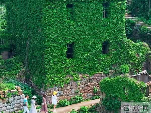 莫言再次语出惊人：“什么同事、同学、朋友，都是人生过客