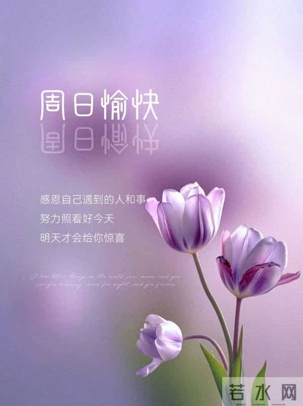 20句暖心周末祝福，慢享清欢、拥抱暖意，愿你平安顺遂、日日皆欢