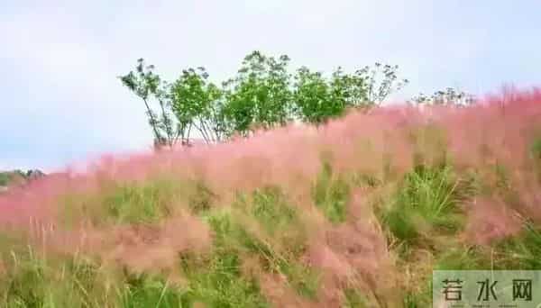 两性关系：多数女人愿意和一个男人长期保持联系，原因往往就5点