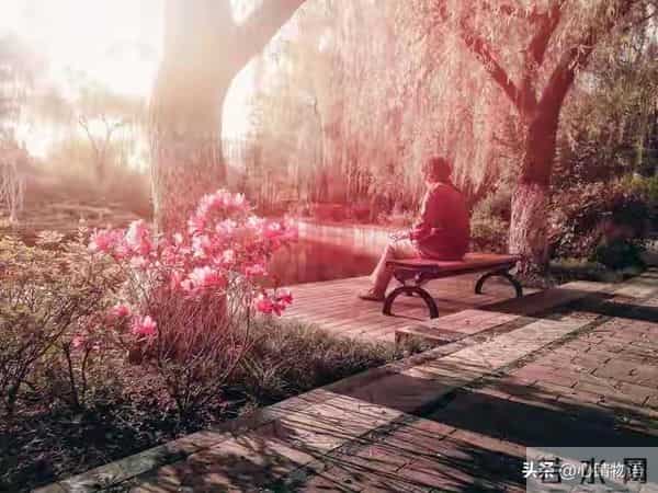 老了才明白,最幸福的往往是这三种老人,第一种就很少见