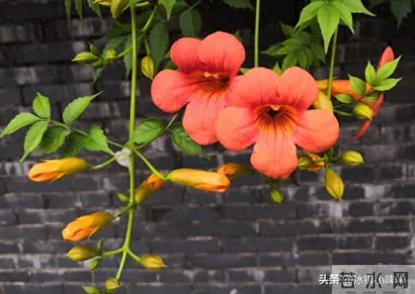 越是想征服一个男人，越不要主动，而是学会“晾”着他