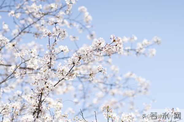 人老了才发现，90%以上的女婿其实都在看女儿的态度，很正常