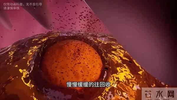 女人绝经了，才发现这一生来之不易