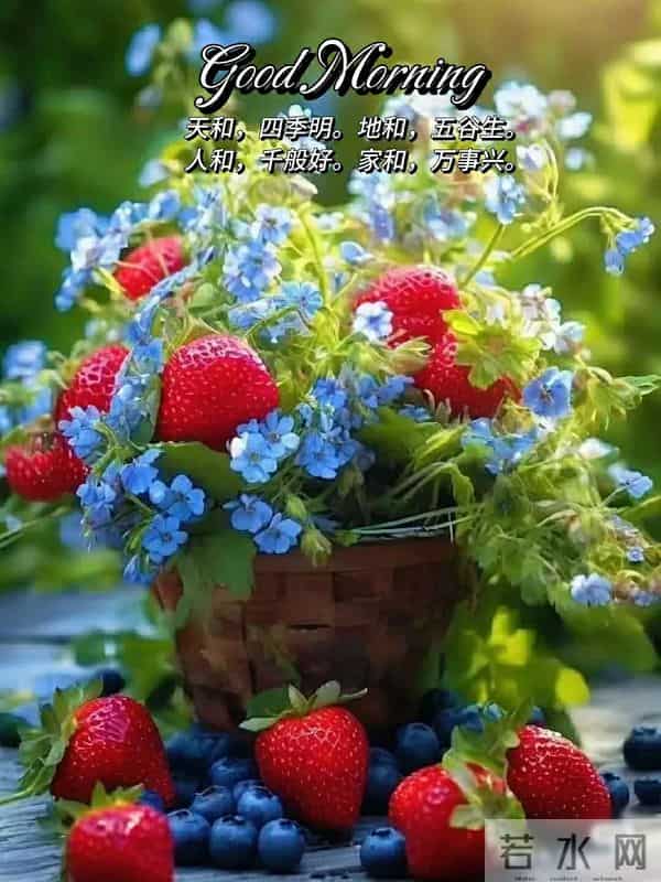 早上好早安祝福美图-浅冬生寒意，微光暖人心