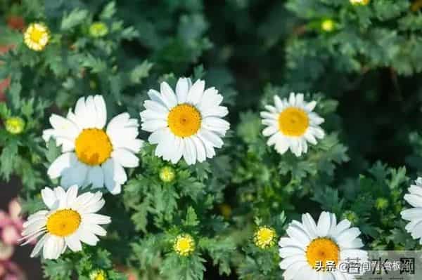 第一名：天秤座，11月29日就在这近两天，得跟你说个实在话！