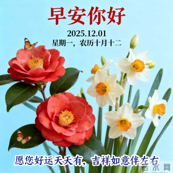 2025.12.01 十二月首日晨风寒 热粥暖胃启新程 早安奋斗好运连
