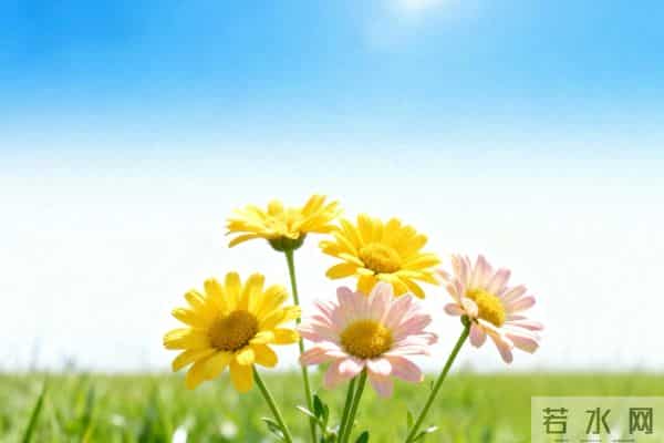 人最好的活法：烦心事，少想；别人事，少管