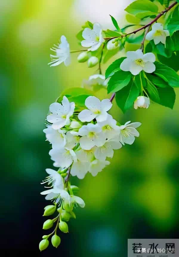 最好的告别：不消耗，不纠缠，静静退场