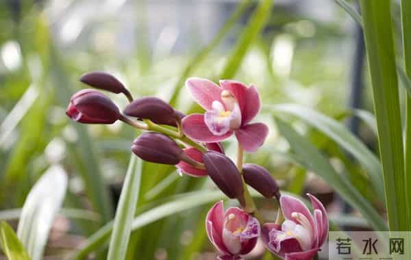 两性关系中，女人更在意什么