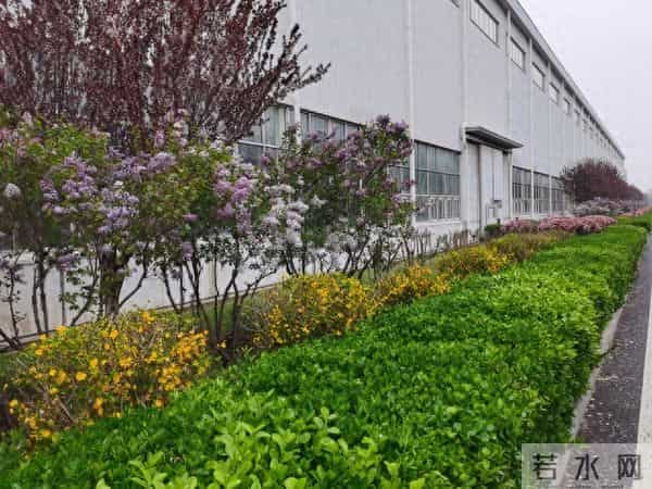 婆家那些事（118）操心工作又要担心孩子