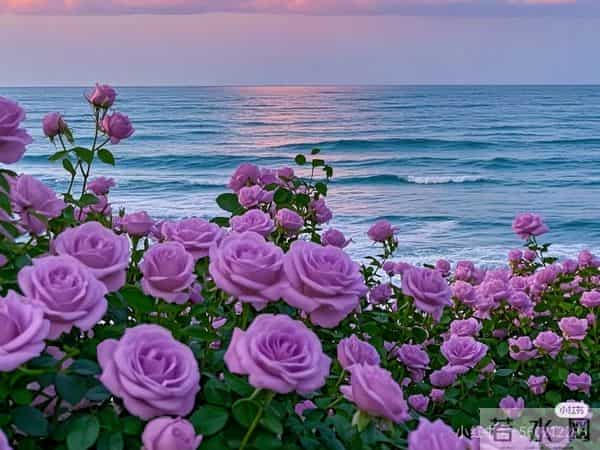 明天起，便是你的命运转折点，愿你时来运转，苦尽甘来