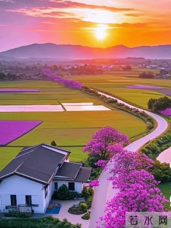 50后再婚，财产必须公证？过来人警告：爱情敌不过现实，别冒险！