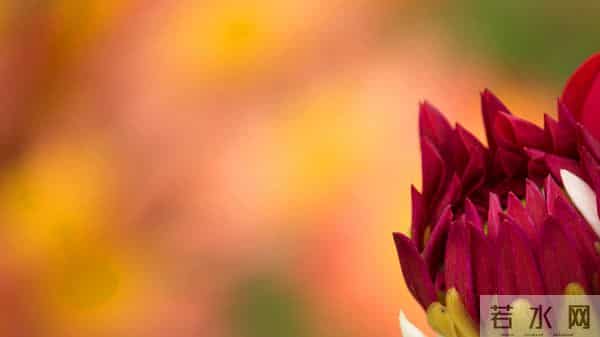 11月30日至12月6日星期日，巨蟹座，告诉你一句实话！