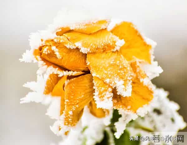 面对背叛，你该关注的就一点：这段关系，还有没有被治愈的可能