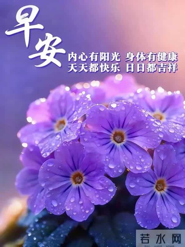 「11月30日」15张冬日早安图片：冬日有梦，幸福安宁