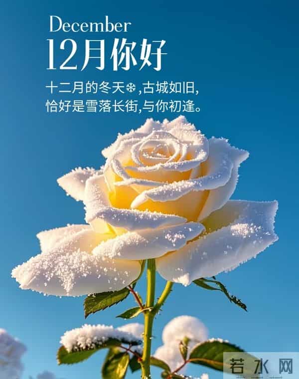 十一月再见，十二月你好！最新文案高清美图 精选16张祝福图片
