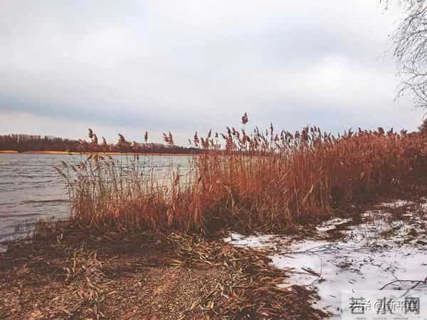 你我，本就是行走的祖宗——寒衣节祭祖归来的思考 姜晓彬-诗歌