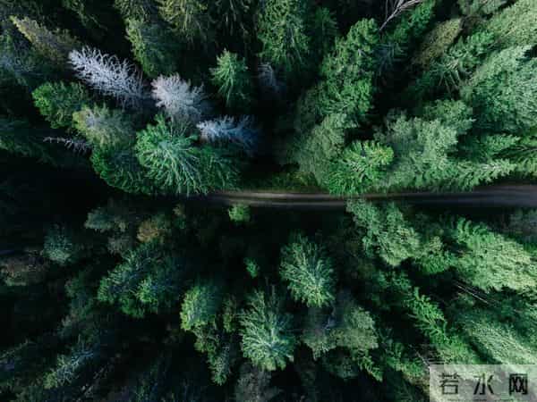 发现一个奇怪的现象：无论和谁打交道，适当的强势，你才会被尊重