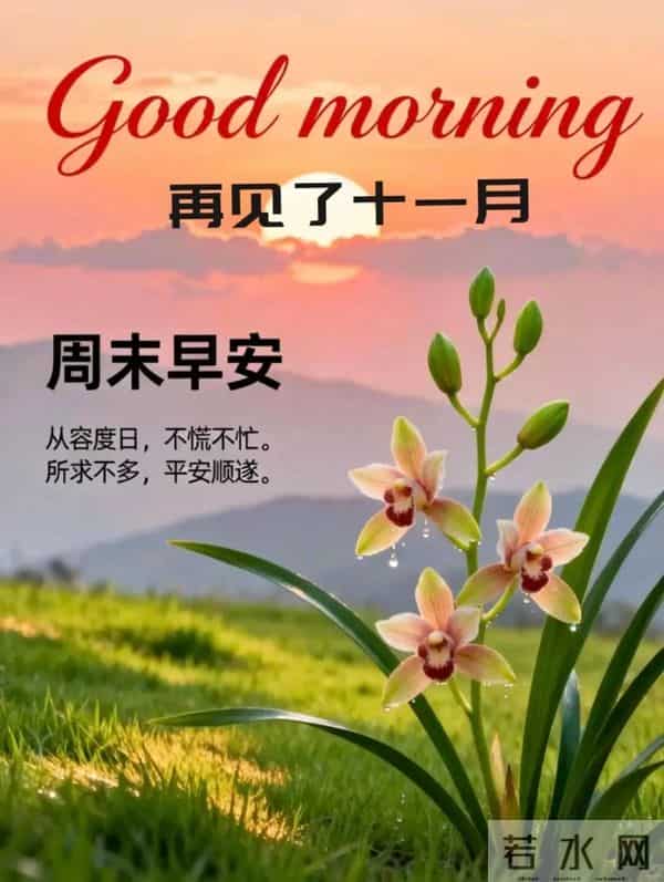 早安快乐！不问几时许，忙里寻闲适，烦忧全赶跑，顺遂无纷扰！