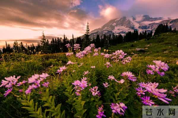 不管你信不信，女性过了50岁以后，特别渴望以下三种需求！