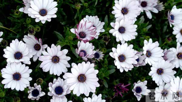 11月30日星期日，天秤座，财源滚滚来！