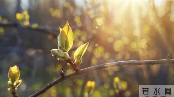 越厉害的人越低调？这4个细节，藏着你望尘莫及的认知高度